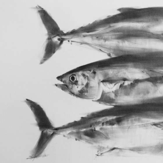 Three Tuna Fish