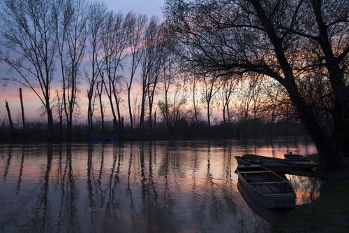 Sunset on the river III by Sonja  Čvorović
