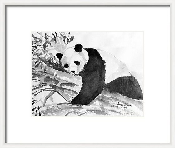 Giant Panda Animal art