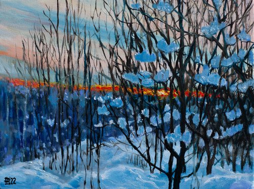 Winter In The Park by Liudmila Pisliakova