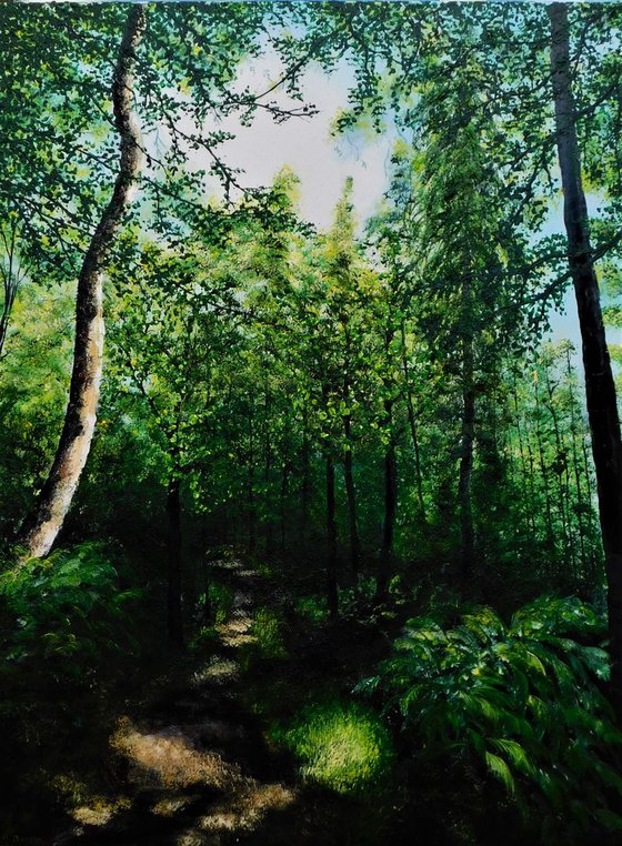 A walk Through The Forest