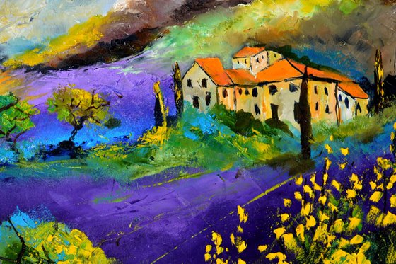 Lavender in Provence 7823