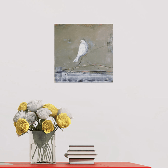 White, White Dove