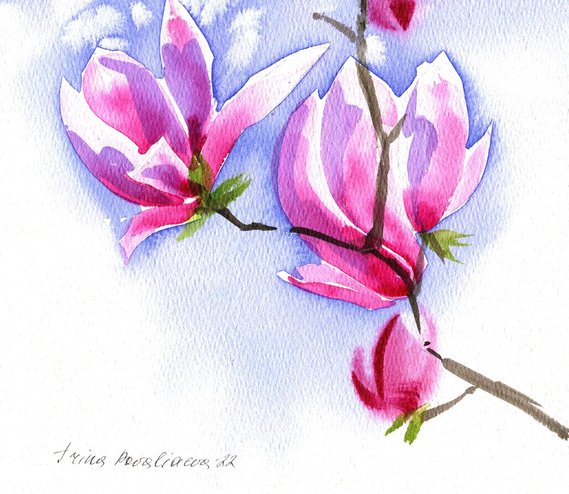 Flowers Watercolor Workbook - Magnolia