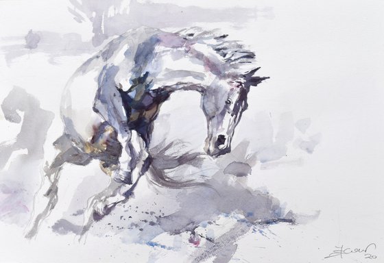 Horse study 3   ( commission  for Emily )