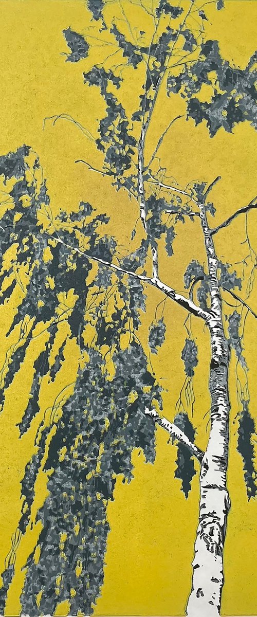 Birch Tree Linocut Print by C Staunton