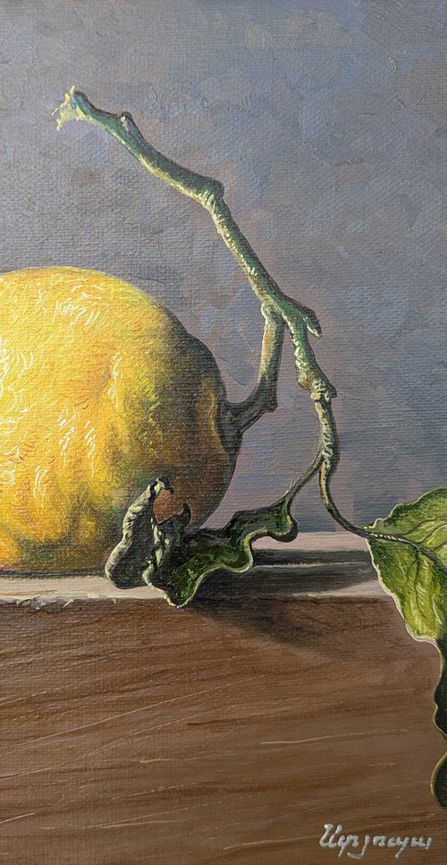 Lemon with Leaf by Stepan Ohanyan