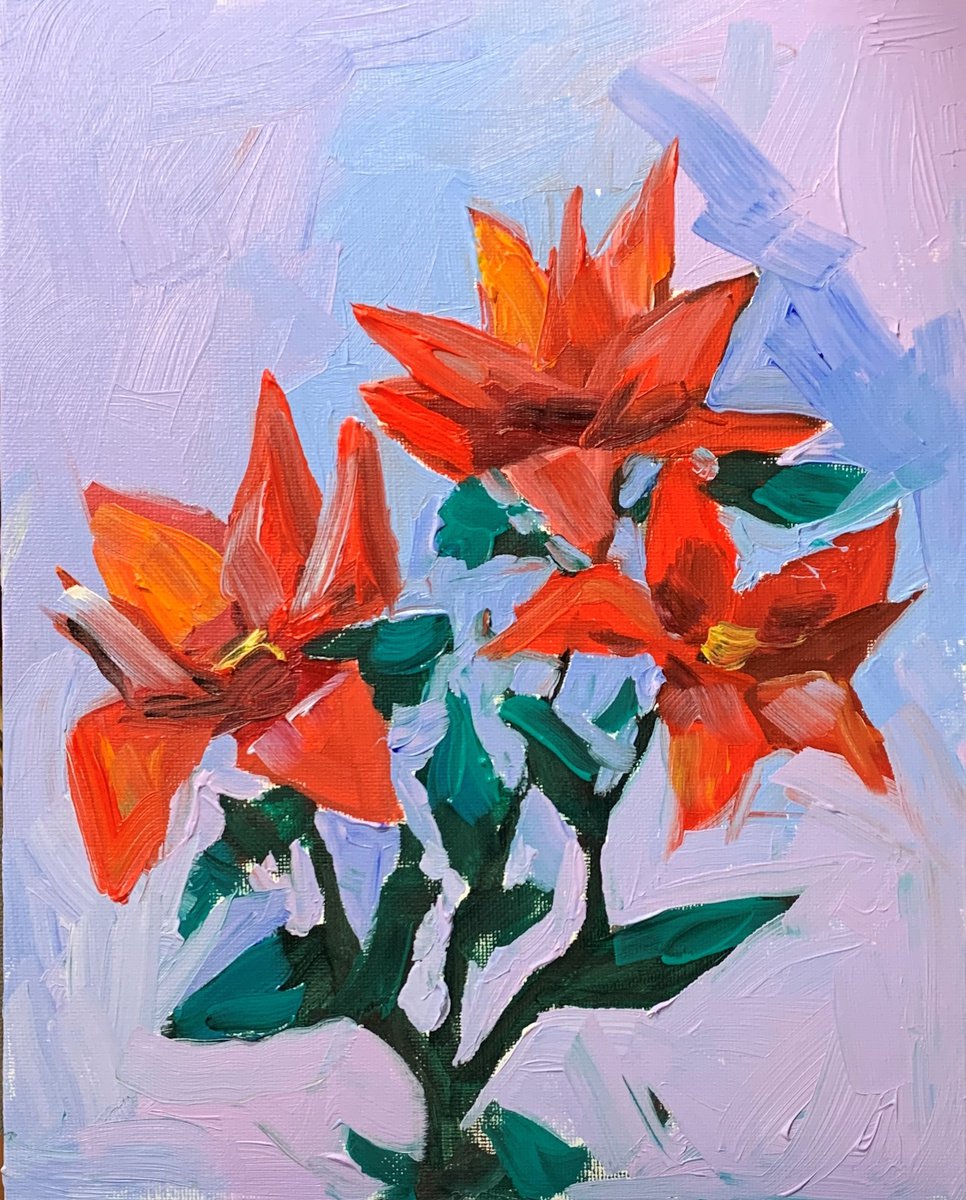 Red flowers. by Vita Schagen