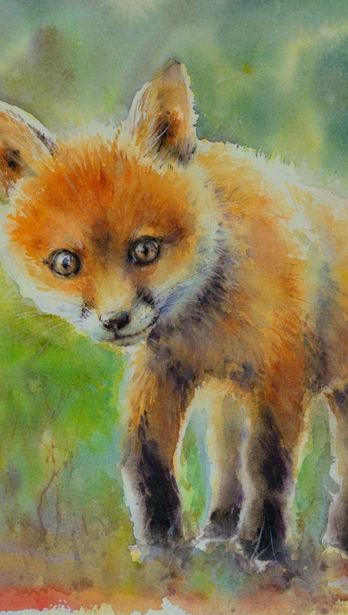 Young fox by Eve Mazur