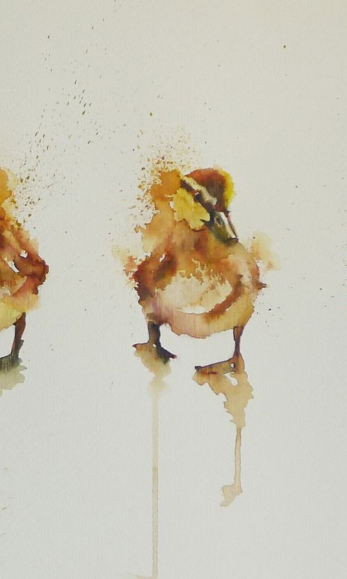 Ducks in a row by Helen Sinfield