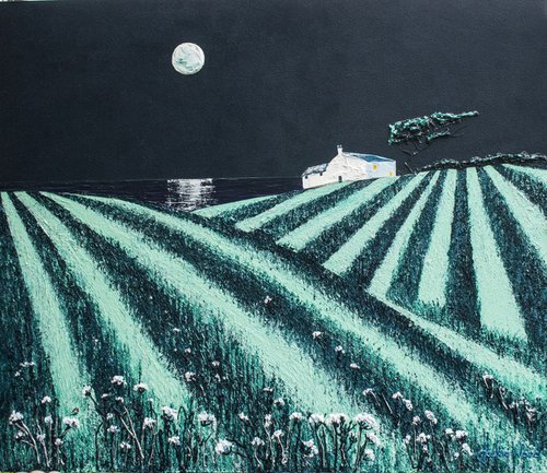 Reaper's Moon by Jackie Ward