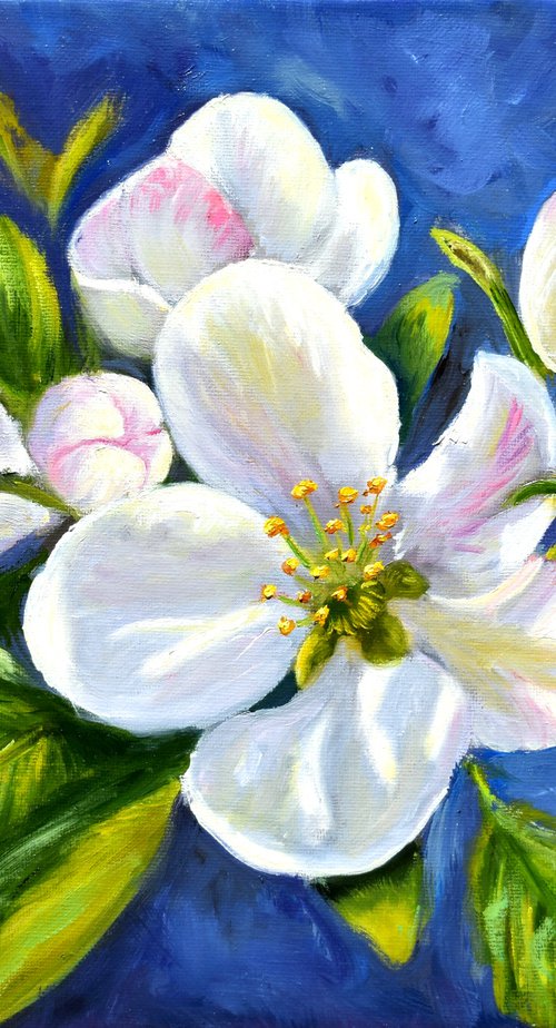 Apple Blossom by Yulia Nikonova