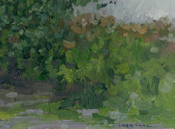 Bush