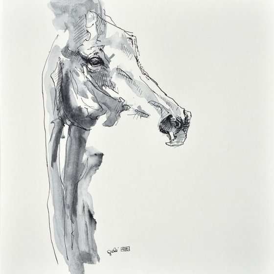 Equine Nude 157