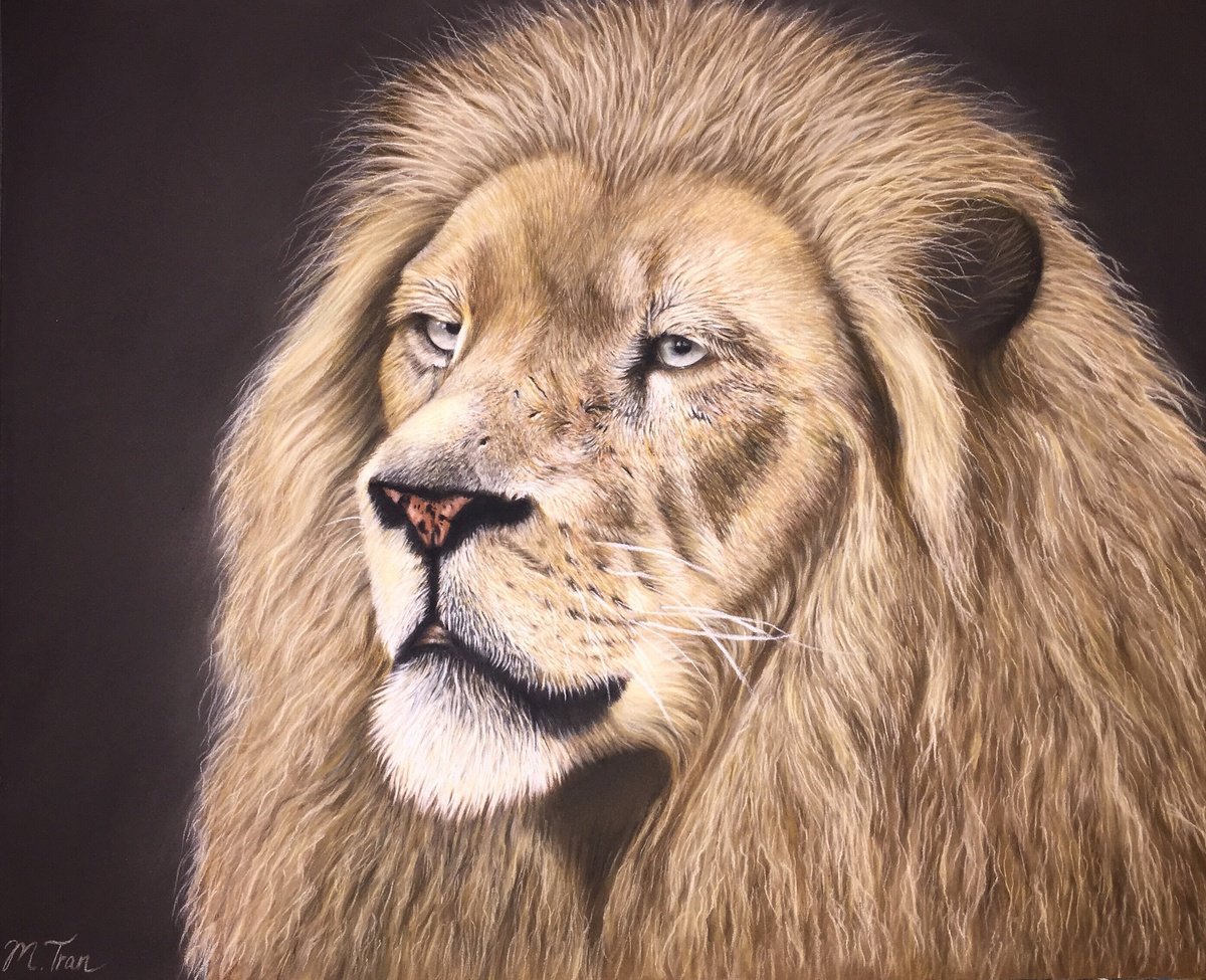 Photorealistic Animal Pastel Drawing By Maria Tran, 18 X 14", Majestic, Original Artwork