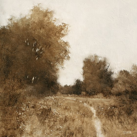 Meadow Path 230919
