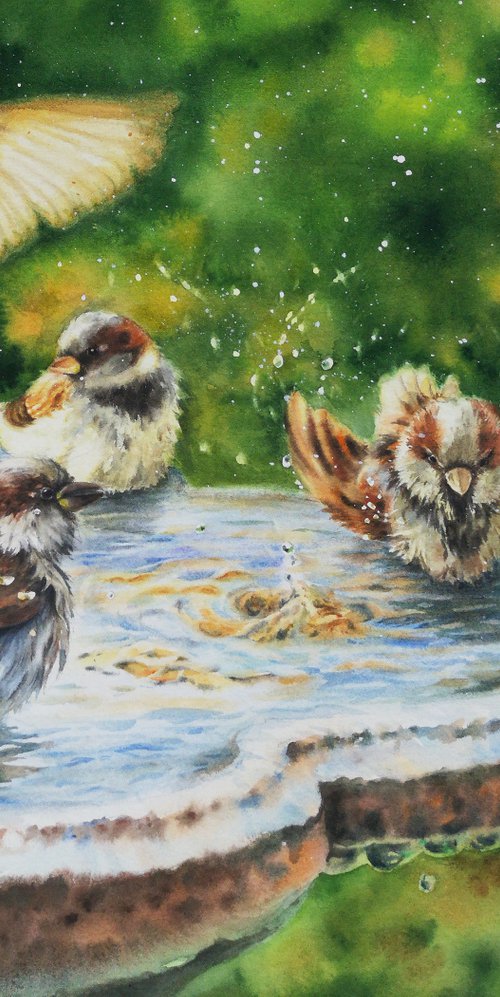 Bathing sparrows by Olga Beliaeva Watercolour