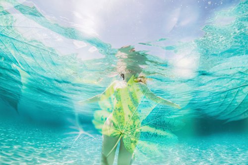 Underwater Eden by Xavi Baragona