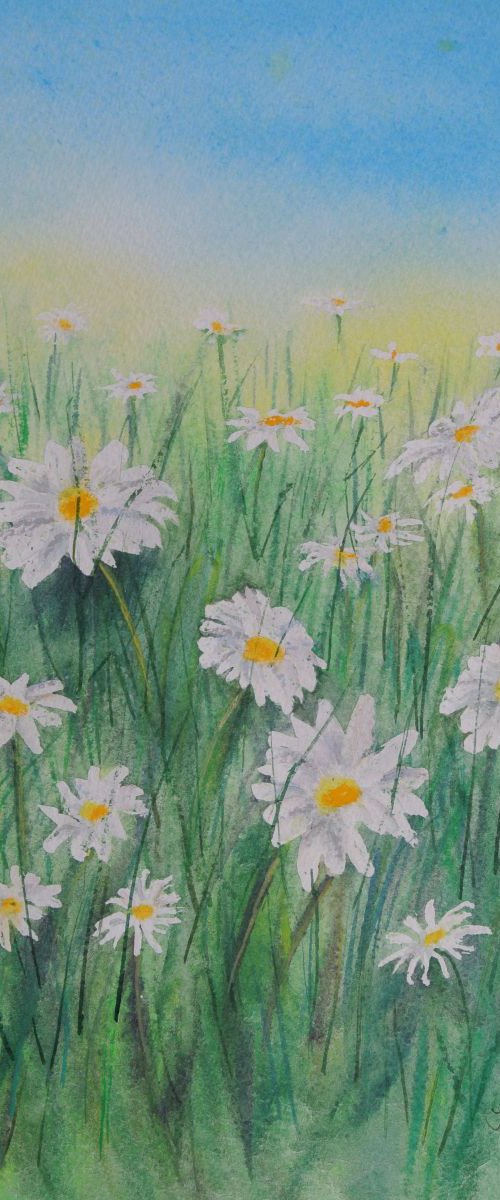 Daisy Meadow by JANE  DENTON