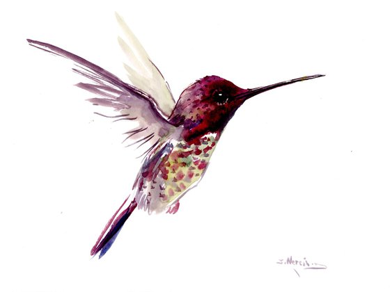 Hummingbird