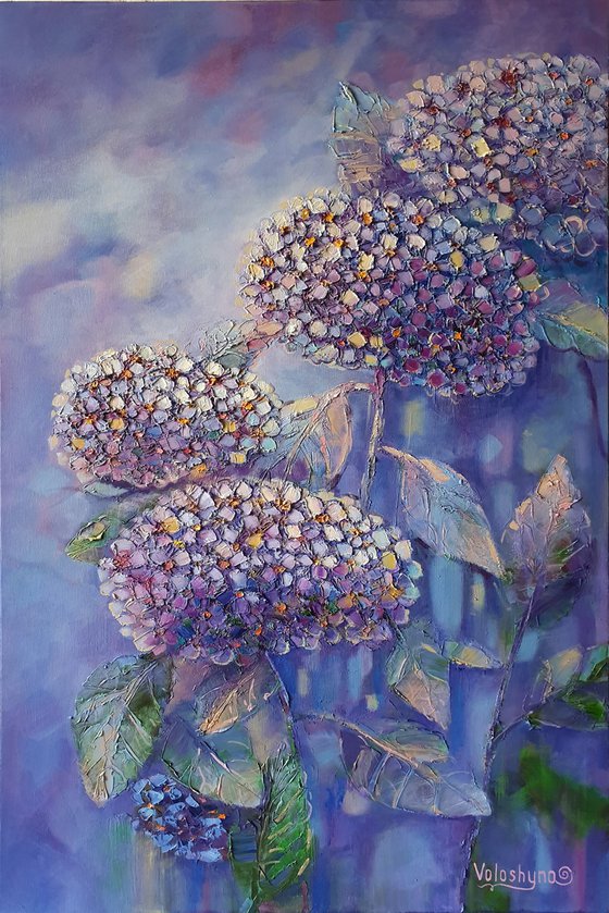 Hydrangeas on blue