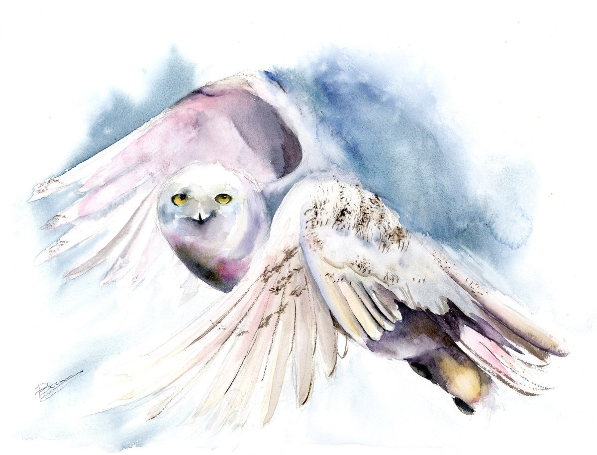 Impressionistic Animal Watercolour By Olga Tchefranov (Shefranov), 16 X 12", Flying Polar Owl, Original Artwork