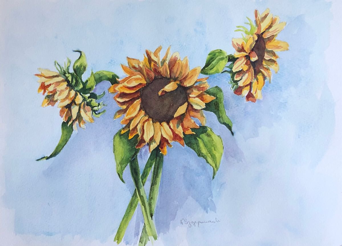 Sunflowers by Krystyna Szczepanowski