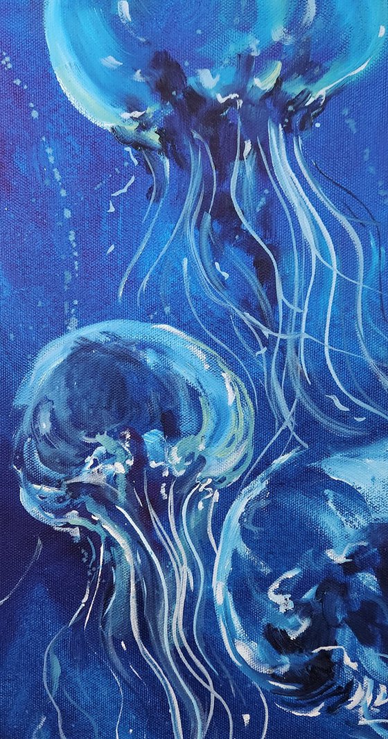 "The Ballet" - Ocean - Jellyfish