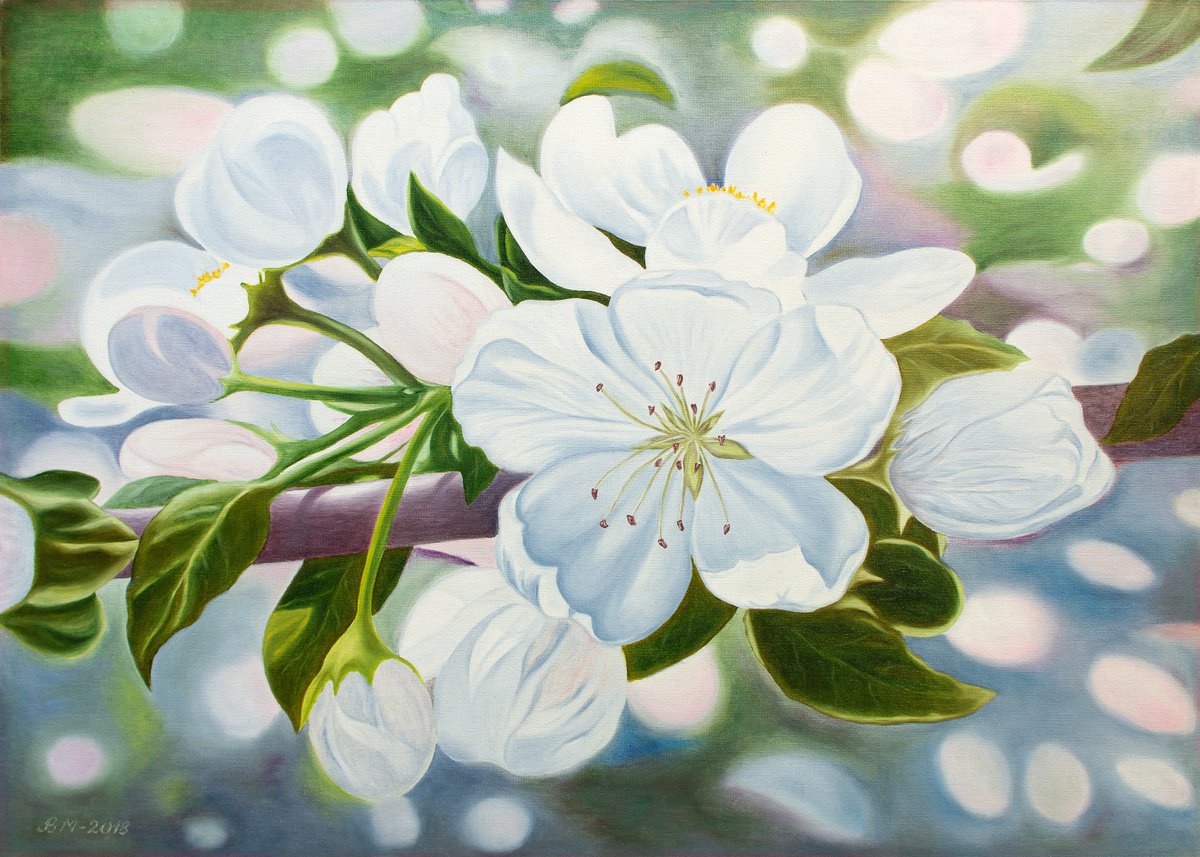 Apple tree blossoms by Vera Melnyk by Vera Melnyk