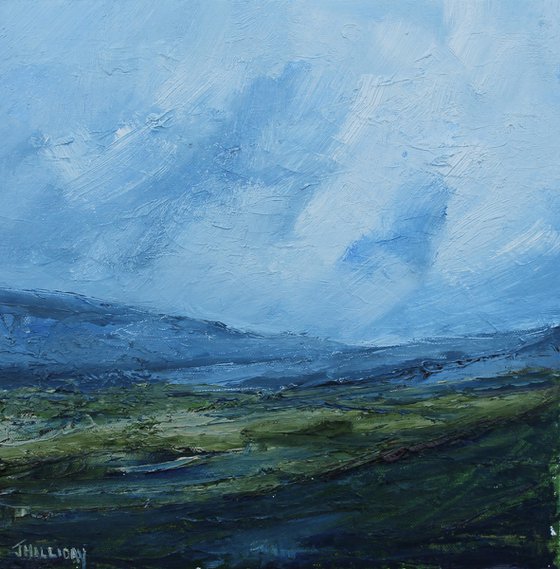 Heathland, Irish Landscape