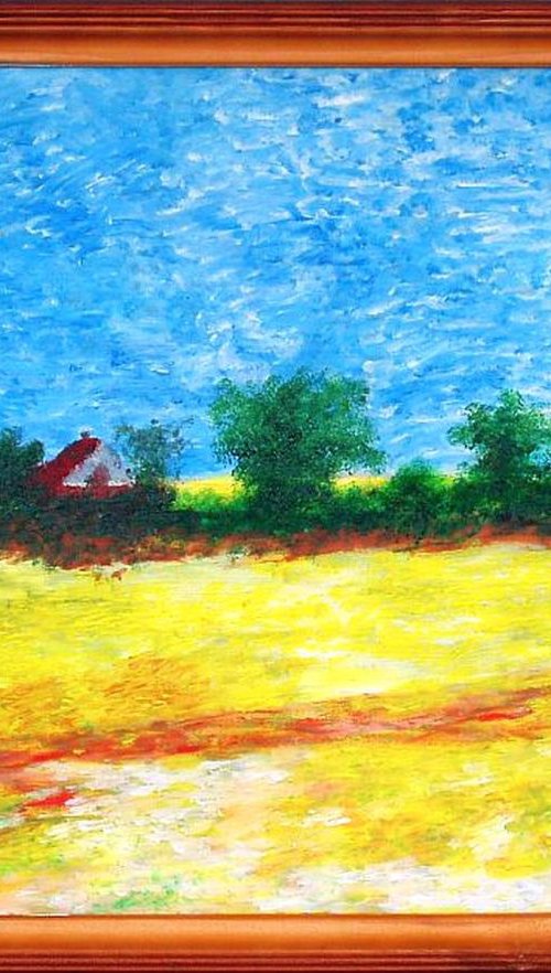 House In Field by Daniel Urbaník