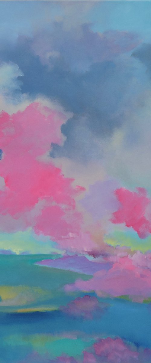 Morning Pink by Veta  Barker