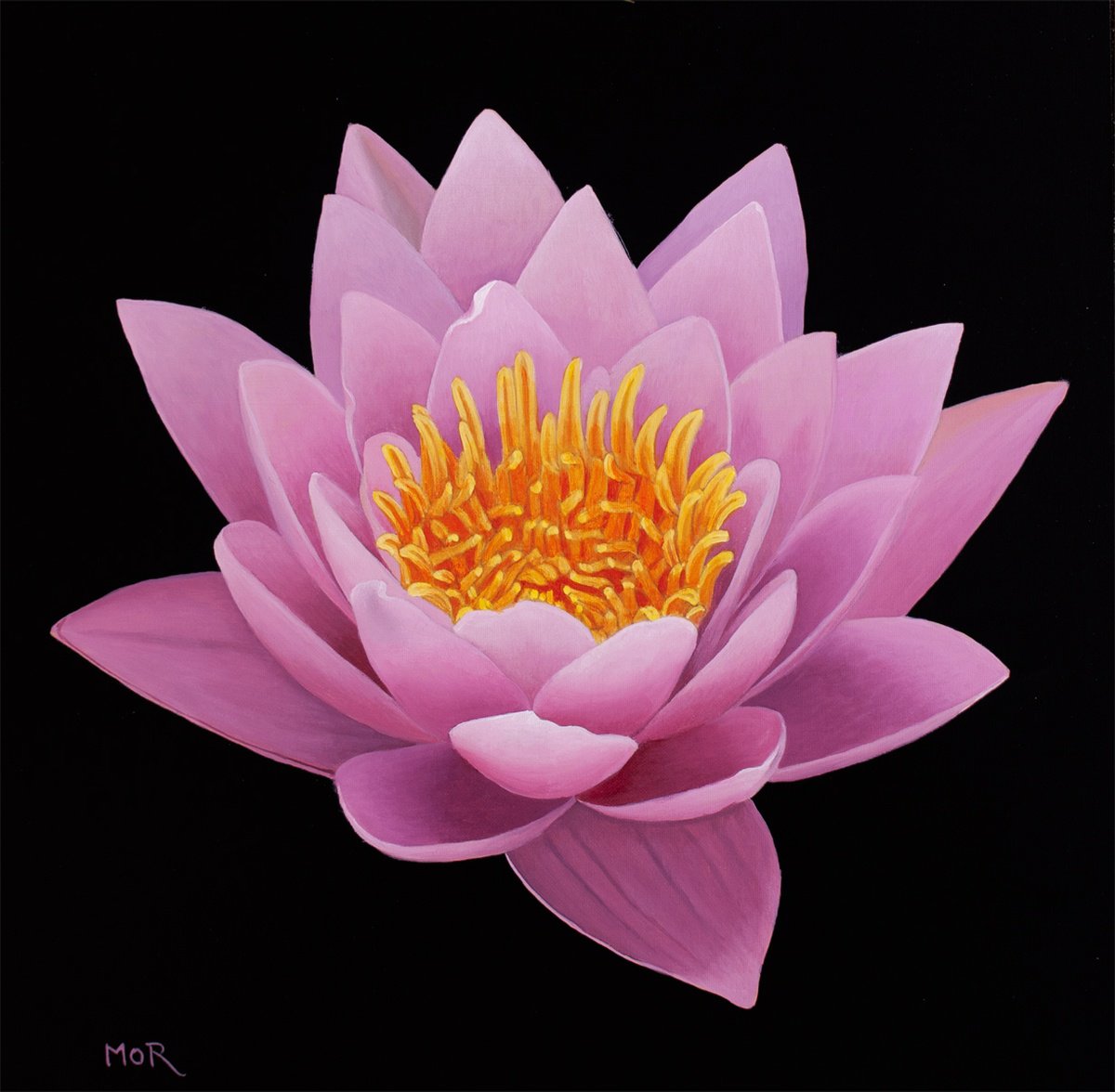 Lotus Crown II by Dietrich Moravec