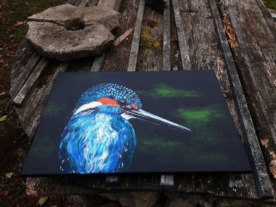 "KiNgFiShEr"