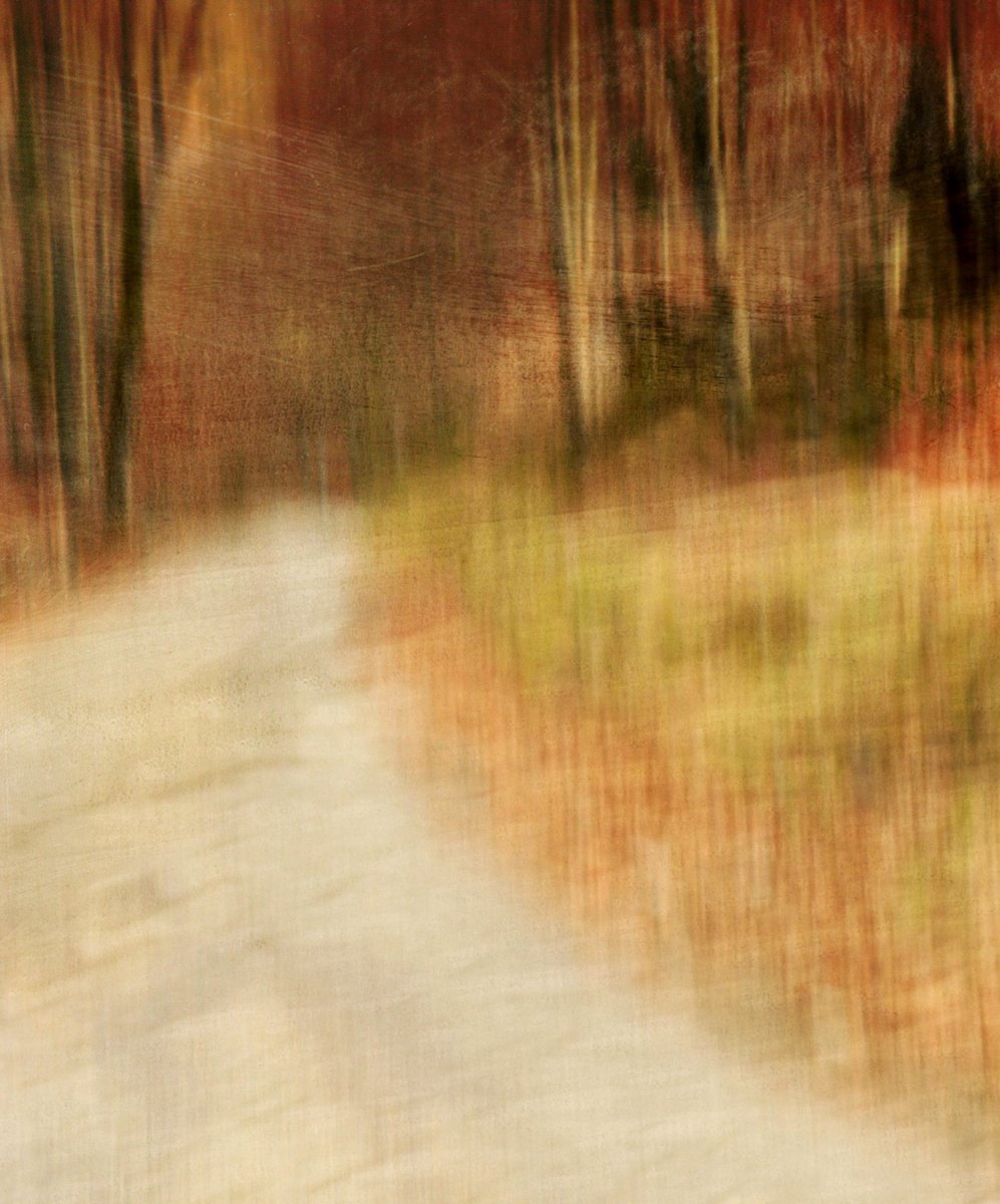 Au bord de la route.... by PHILIPPE BERTHIER