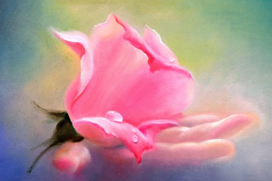 Rose in hand