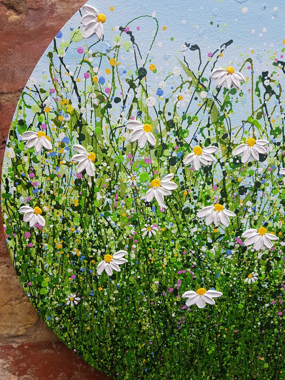 Daisy Delight #6