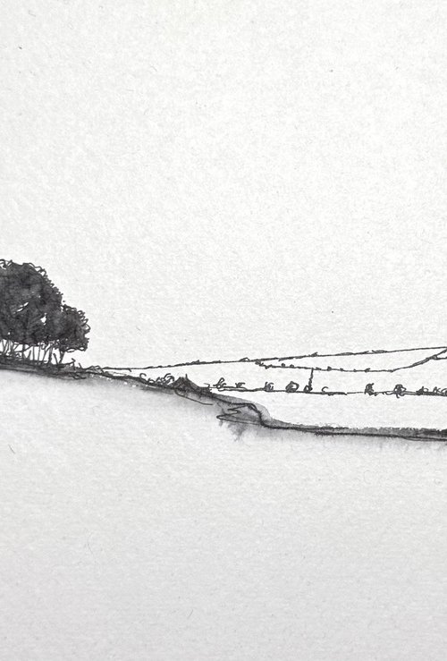 Trees in Pen and Ink - Norfolk Landscape English Countryside by Catherine Winget