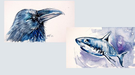 Animal collection