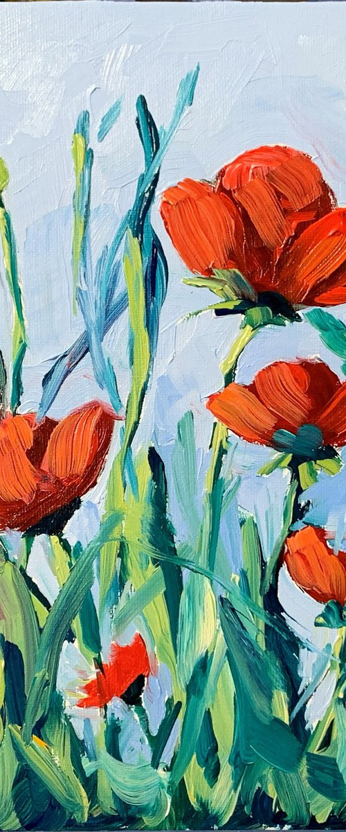 Poppies field. by Vita Schagen