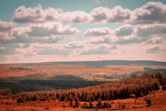 Dartmoor forest - A4