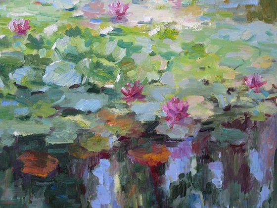 Water lilies in the pond