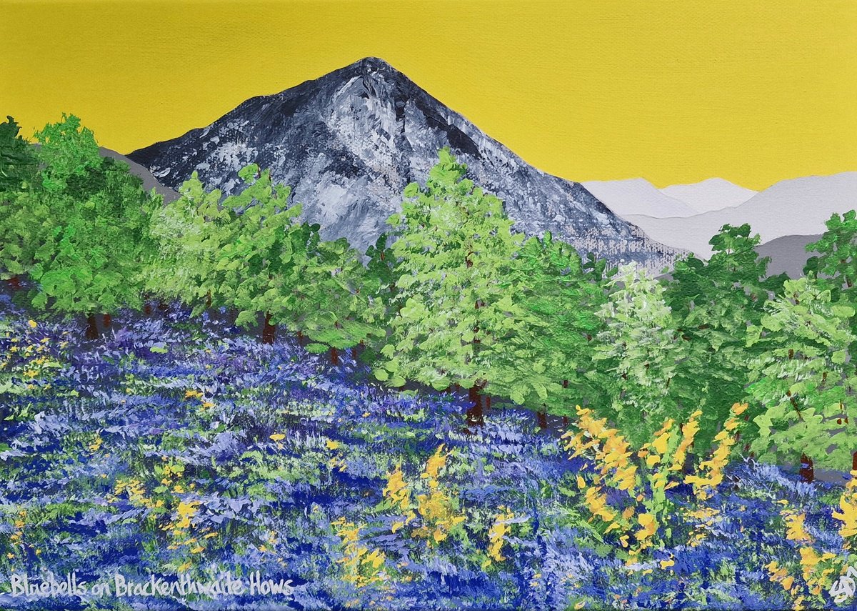 Bluebells on Brackenthwaite Hows, The Lake District by Sam Martin