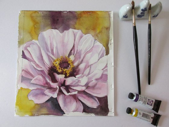 pink zinnia watercolor floral