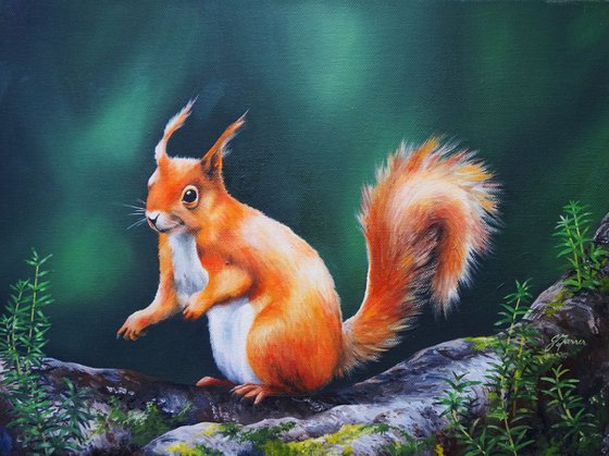 Red Squirrel on branch 16x12