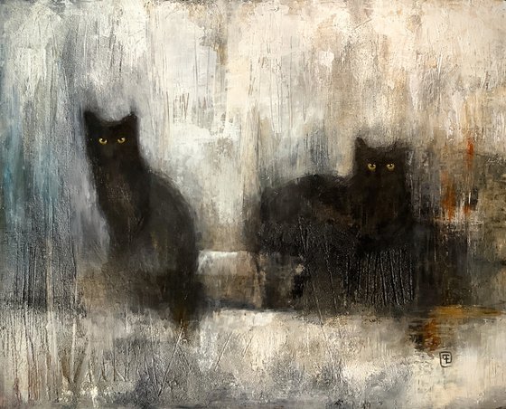 CHATS NOIRS