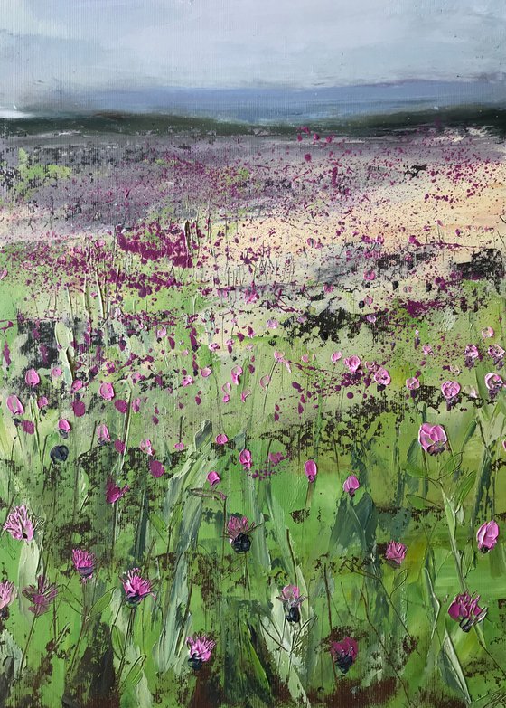 Summer Field, Cornwall