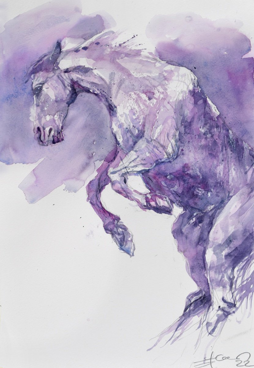 Prancing horse in purple by Goran Zigolic Watercolors