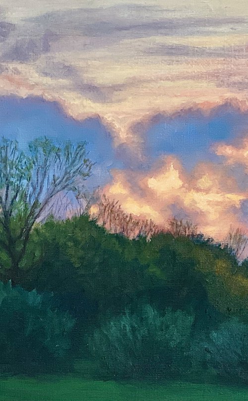 Sunset in Mill Hill Park (VIII) by Diana Sandetskaya