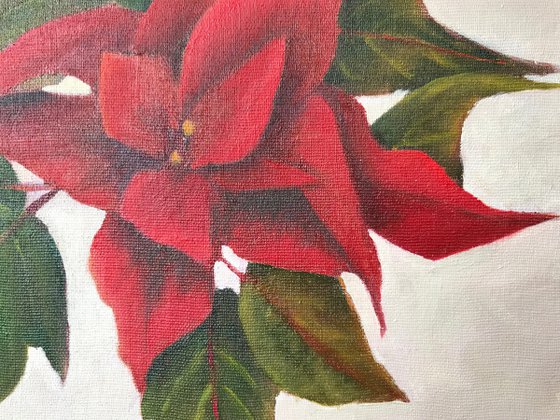 Poinsettia - Framed